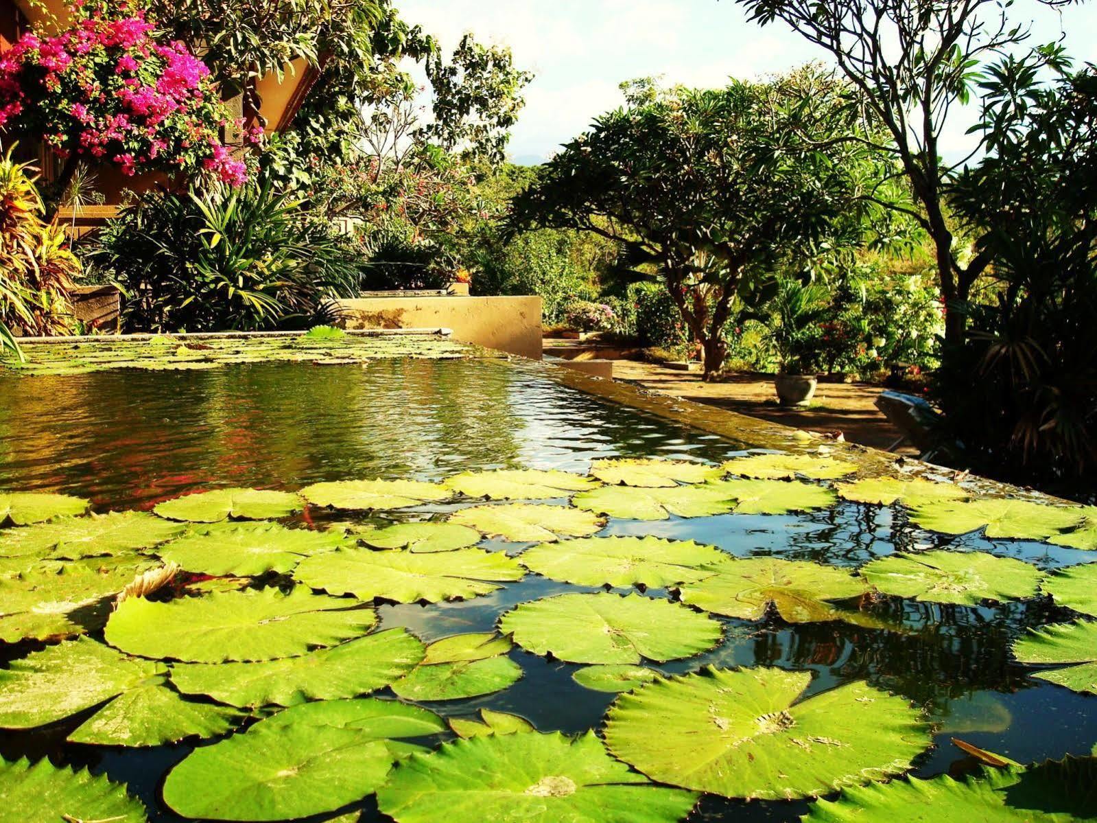 Zen Resort Bali Seririt  Exterior foto